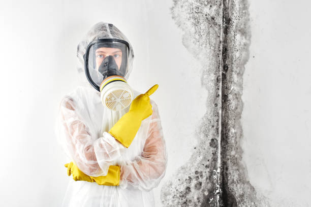 Best Forensic Mold Investigation in Salmon Creek, WA